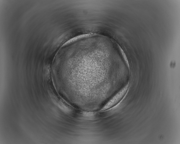 X0000090630144200707311313