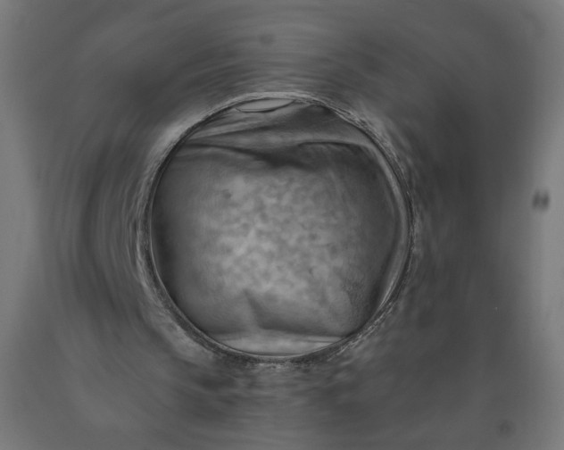 X0000090630145200707311313