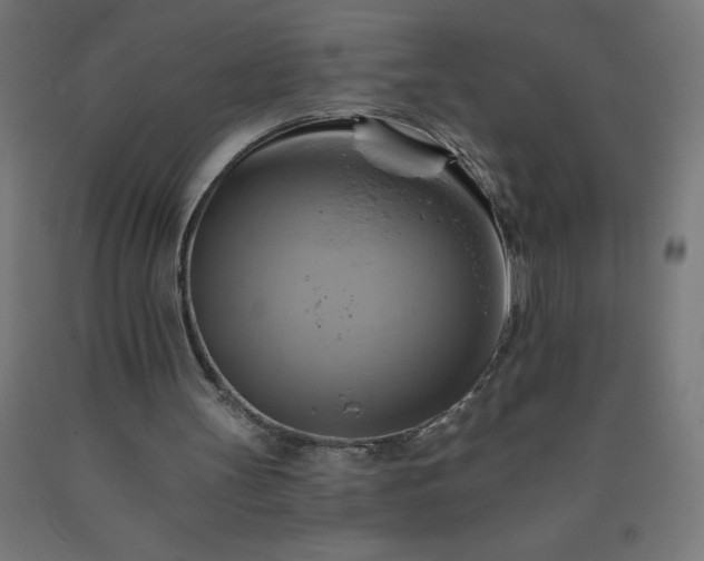 X0000090630147200707311313