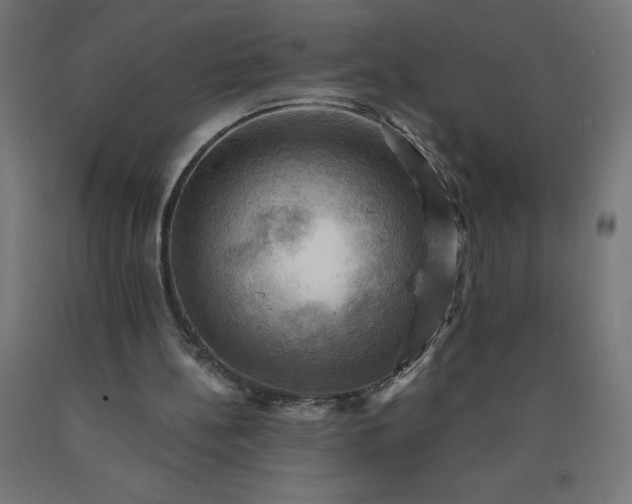 X0000090630148200707311313