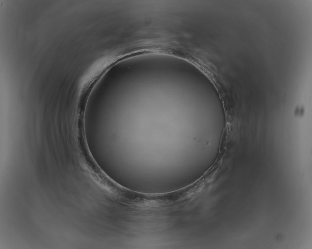 X0000090630149200707311313