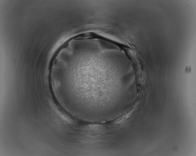 X0000090630150200707311313