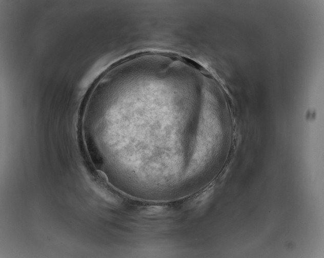 X0000090630151200707311313
