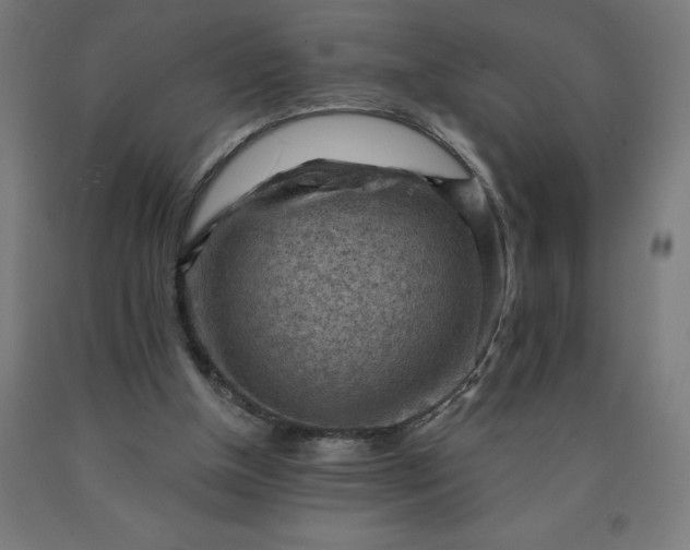 X0000090630154200707311313