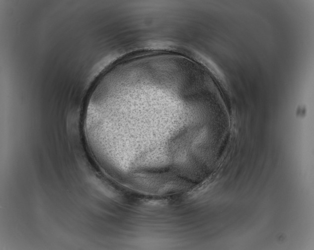 X0000090630155200707311313