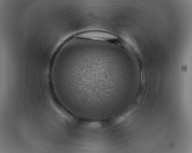X0000090630156200707311313