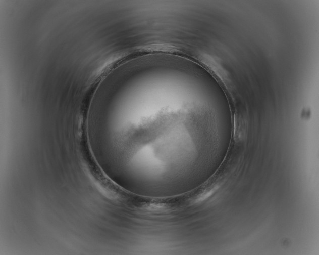 X0000090630157200707311313