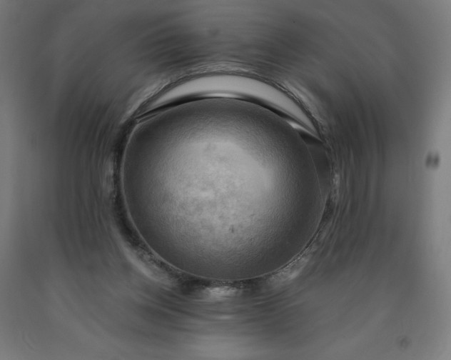 X0000090630158200707311313