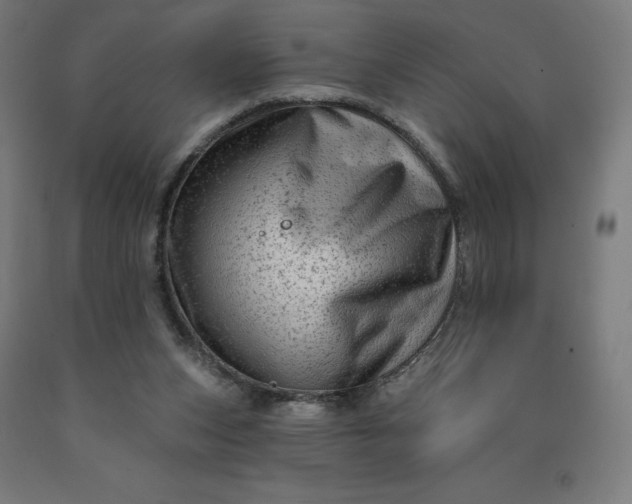 X0000090630159200707311313