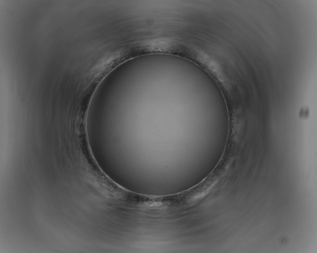 X0000090630161200707311313