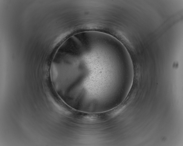 X0000090630164200707311313