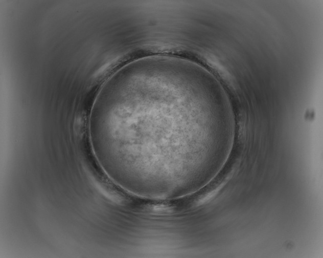 X0000090630165200707311313