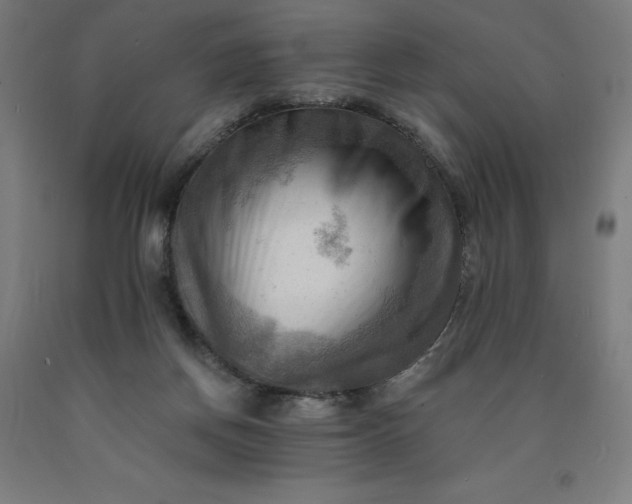 X0000090630166200707311313