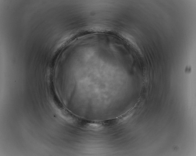 X0000090630167200707311313