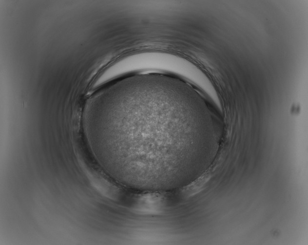 X0000090630168200707311313