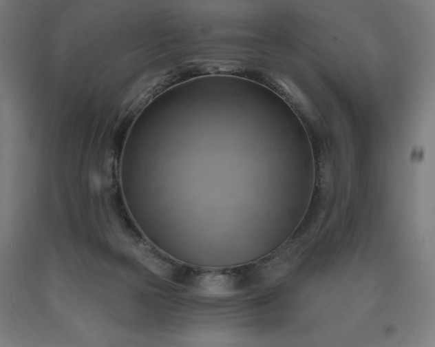 X0000090630169200707311313
