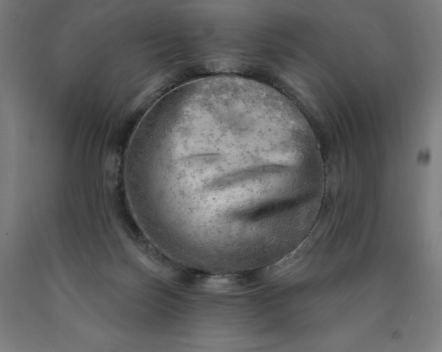 X0000090630171200707311313