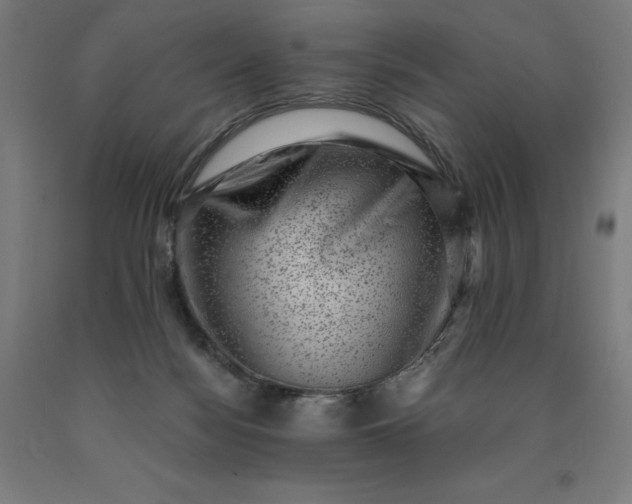 X0000090630172200707311313