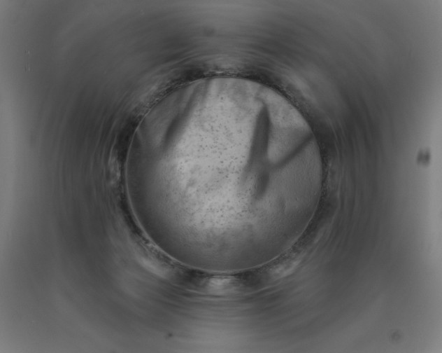 X0000090630173200707311313