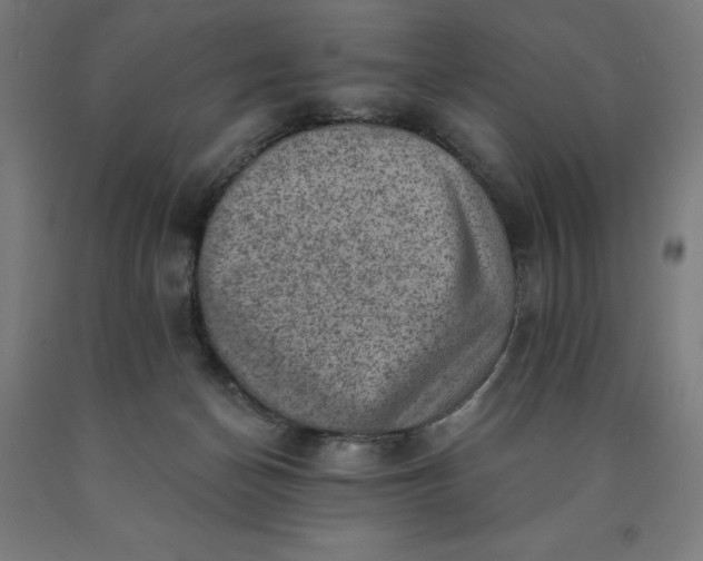 X0000090630174200707311313