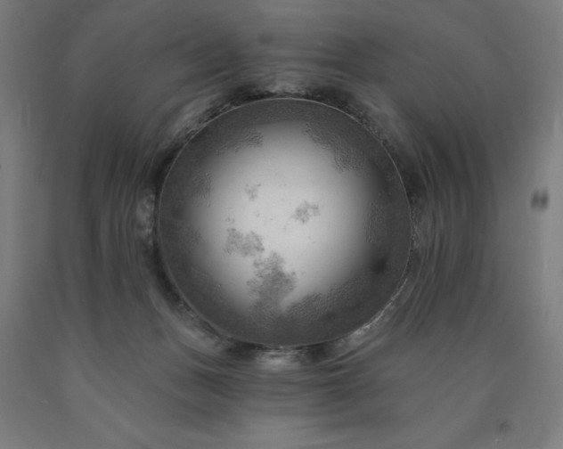 X0000090630175200707311313