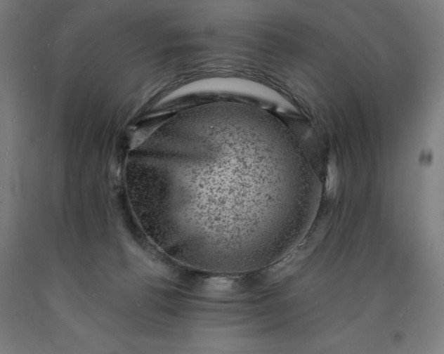 X0000090630176200707311313