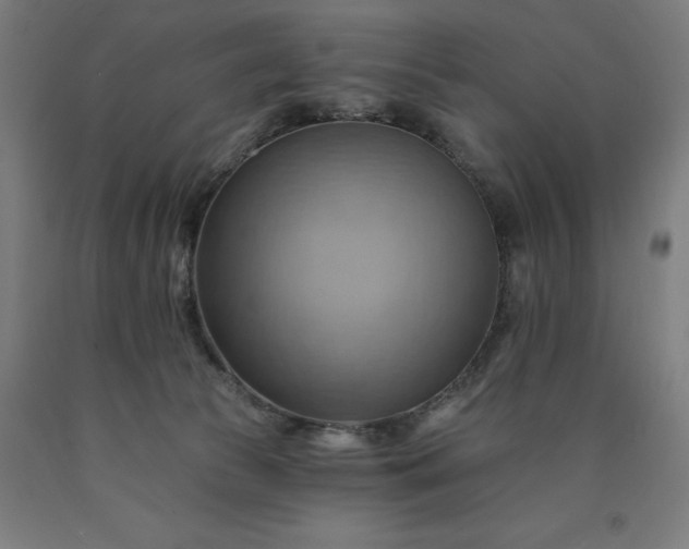 X0000090630177200707311313