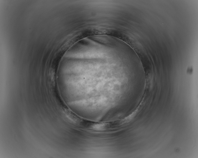 X0000090630178200707311313