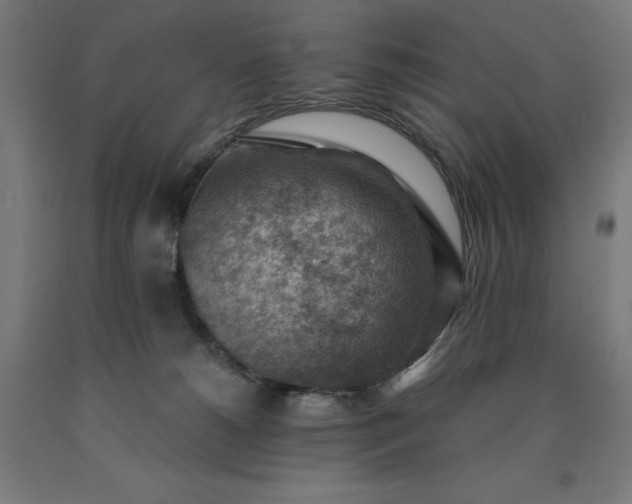 X0000090630180200707311313