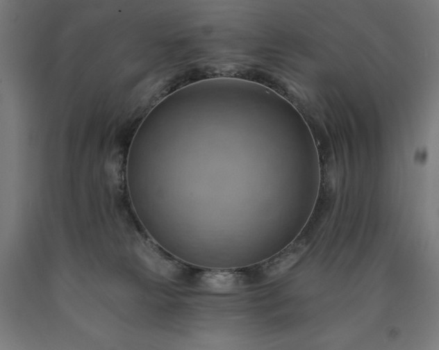 X0000090630181200707311313