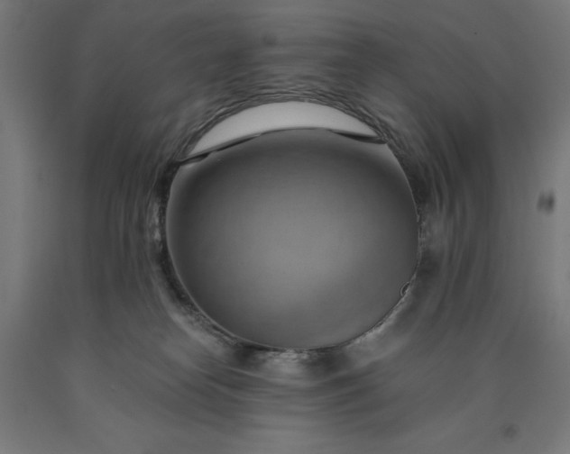 X0000090630182200707311313