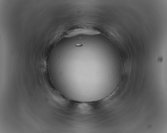 X0000090630183200707311313
