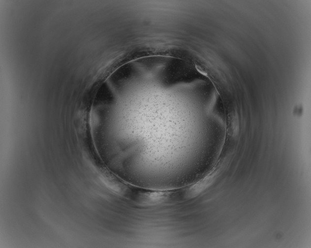X0000090630184200707311313