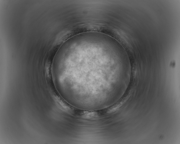 X0000090630185200707311313
