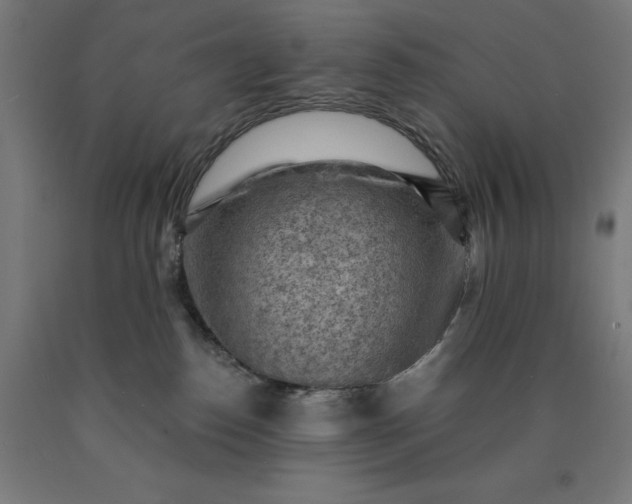 X0000090630186200707311313
