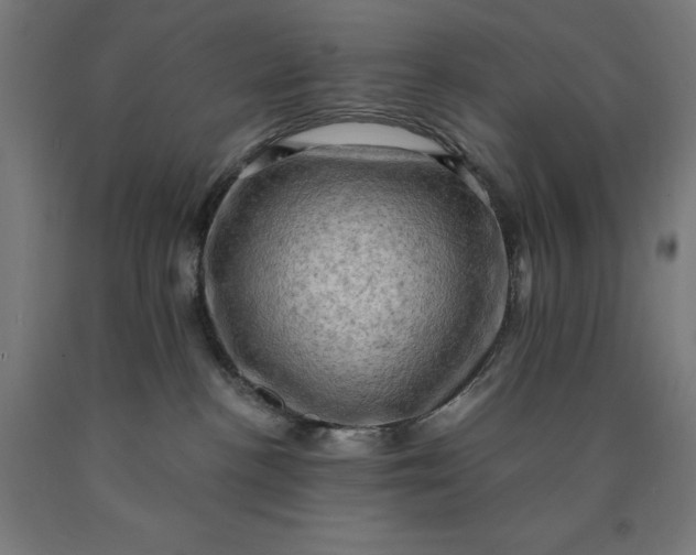 X0000090630188200707311313