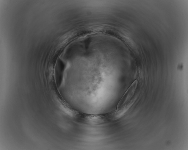 X0000090630189200707311313