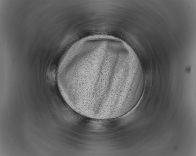 X0000090630190200707311313