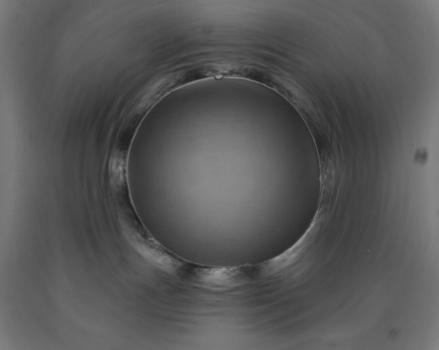 X0000090630191200707311313