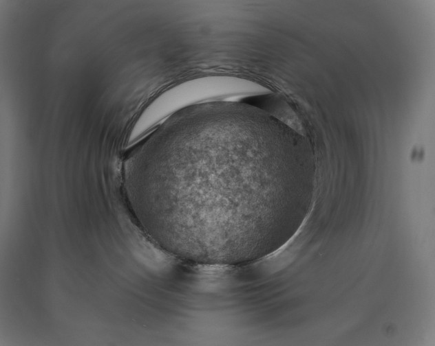 X0000090630192200707311313