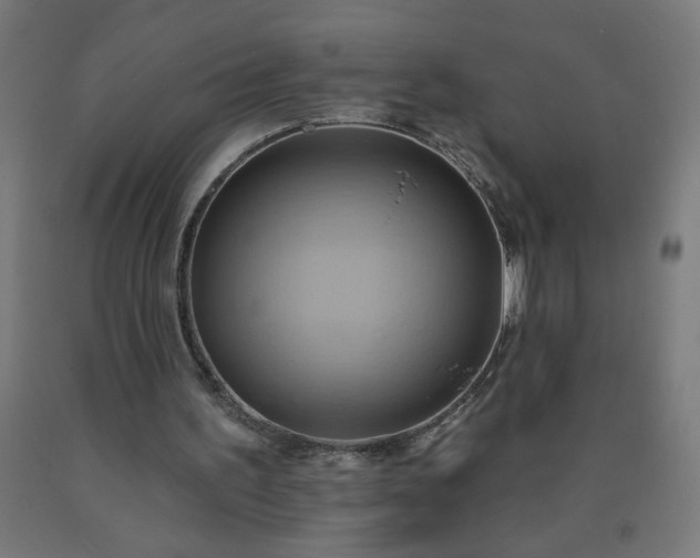 X0000090630195200707311312