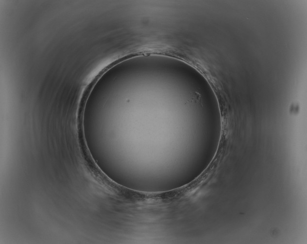 X0000090630196200707311312