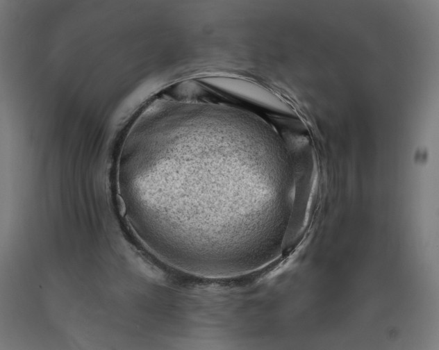 X0000090630197200707311312