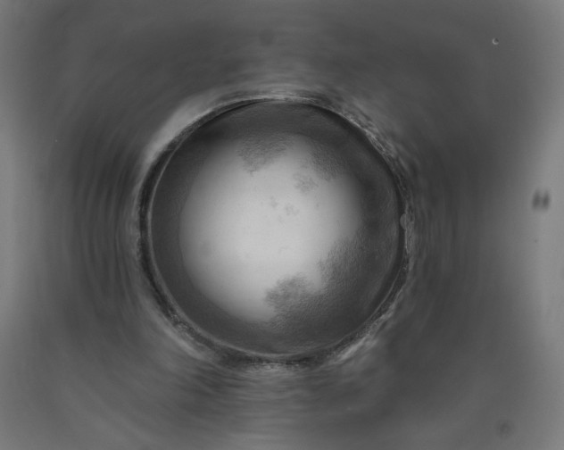 X0000090630198200707311312