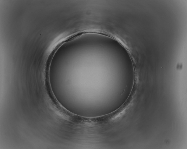 X0000090630199200707311312