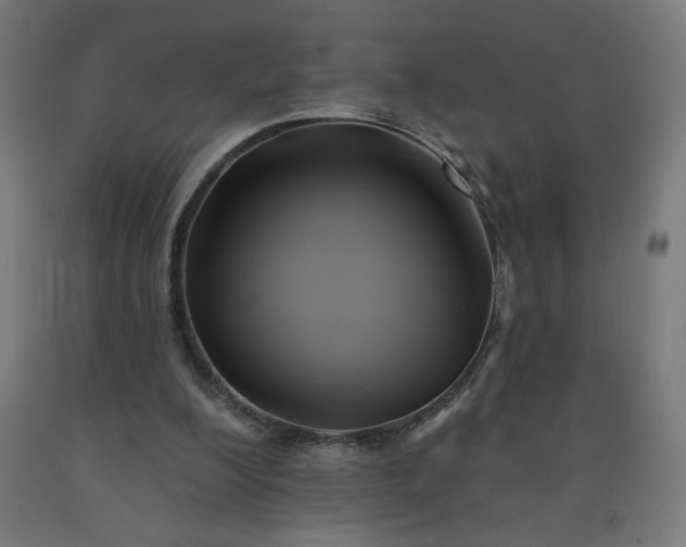 X0000090630200200707311312
