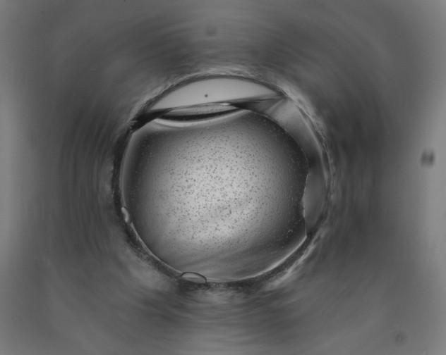 X0000090630201200707311312