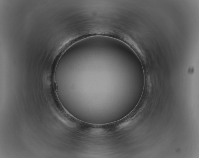 X0000090630203200707311312