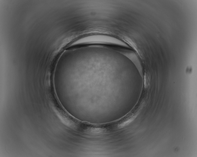 X0000090630205200707311312