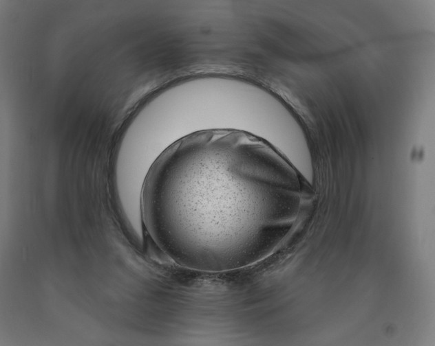 X0000090630207200707311312